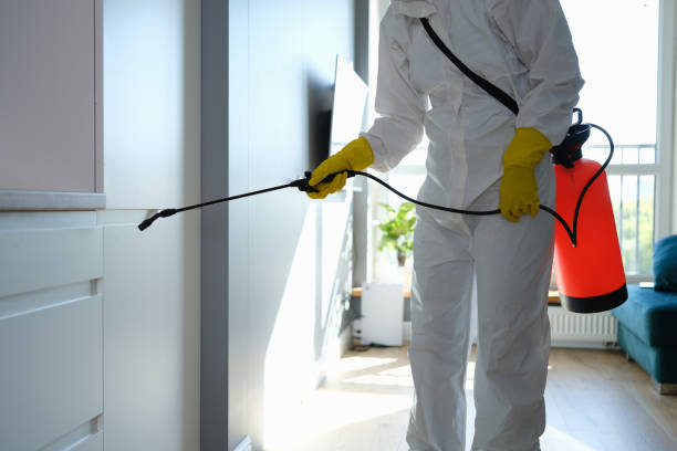 Best Residential Mold Remediation in Camden, AL
